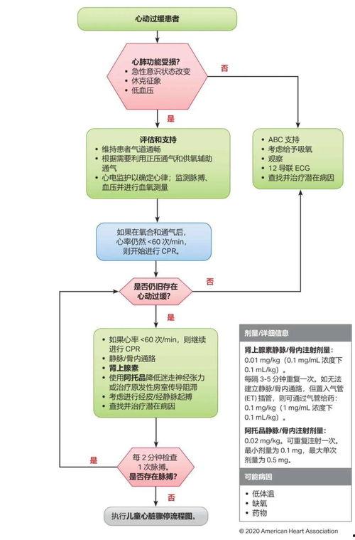 保险理赔爆料流程视频教程,轻松掌握理赔流程 第1张 保险理赔爆料流程视频教程,轻松掌握理赔流程 第1张